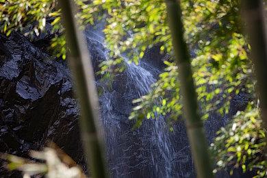 Otomate 新作《Radiant Tale》开场动画公开 游戏将于5月26日发售