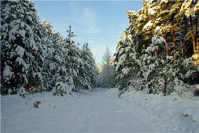 时代变了！《魔兽世界》6月2日上线跨阵营游戏功能