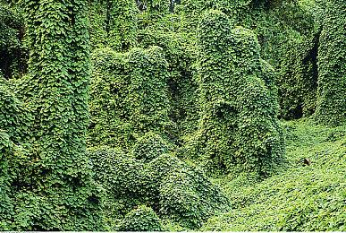 叶奈法会回归吗？《巫师4》团队尚未联系其配音演员